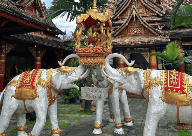 10推荐!口碑与实力双优榜单指南2026西双版纳最好旅行社TOP(图3) 10推荐!口碑与实力双优榜单指南2026西双版纳最好旅行社TOP(图3)